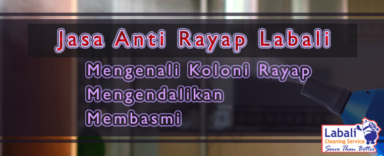 Labali jasa anti rayap Denpasar, pest control service Bali