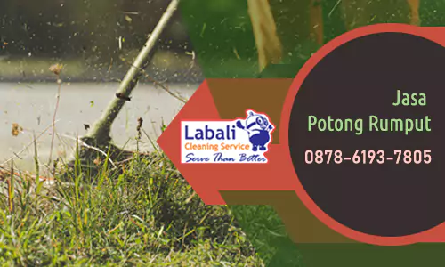 harga jasa potong rumput di Denpasar, Bali
