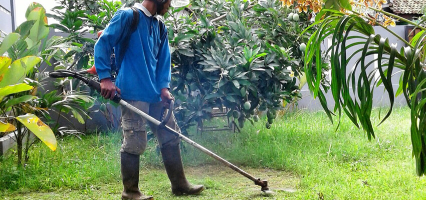 La Bali jasa potong rumput di Denpasar