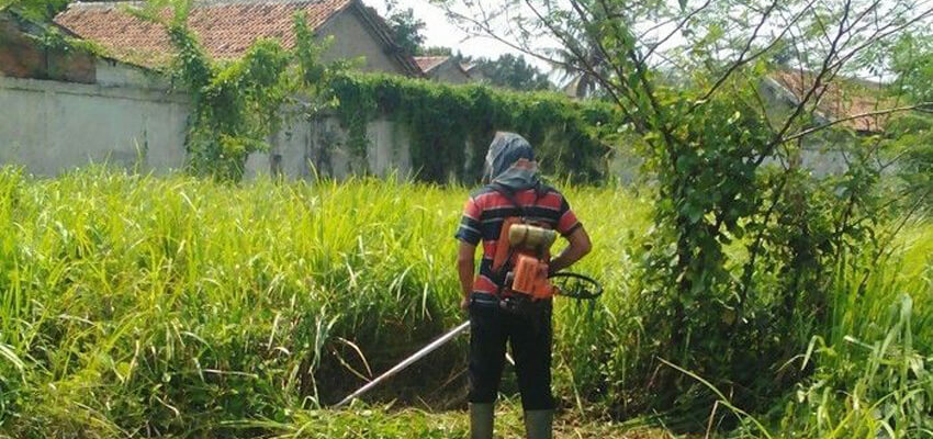 la jasa potong rumput melayani Denpasar Bali